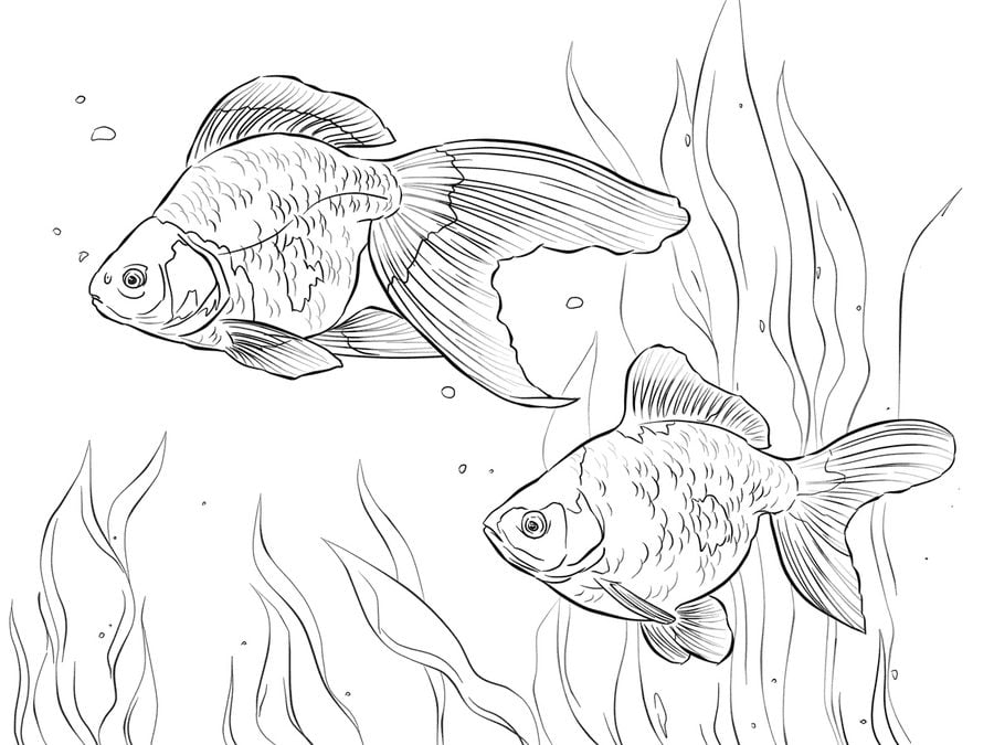 10 Goldfish Coloring Pages Printable For Adults