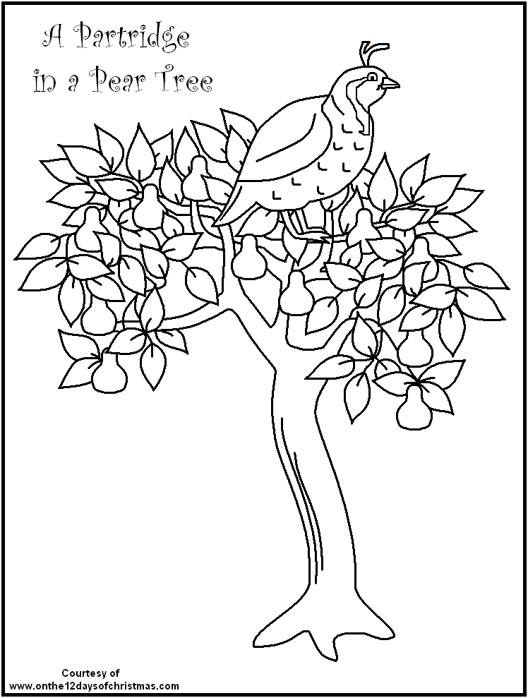 12 Days Of Christmas Coloring Page 12 Days Of Christmas Coloring Page