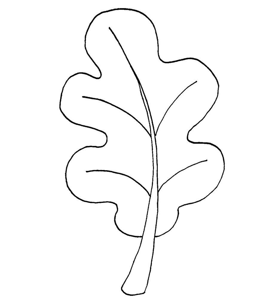 21 Leaf Coloring Pages Printable 21 Leaf Coloring Pages Printable