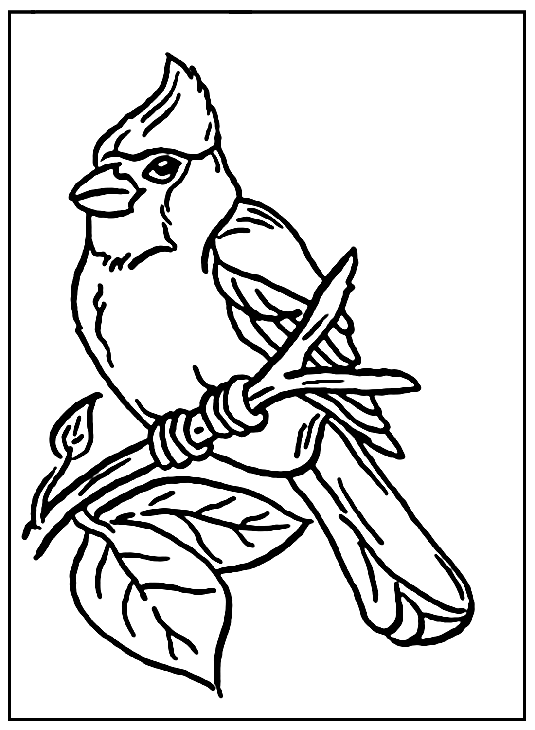 Printable Cardinal Coloring Pages