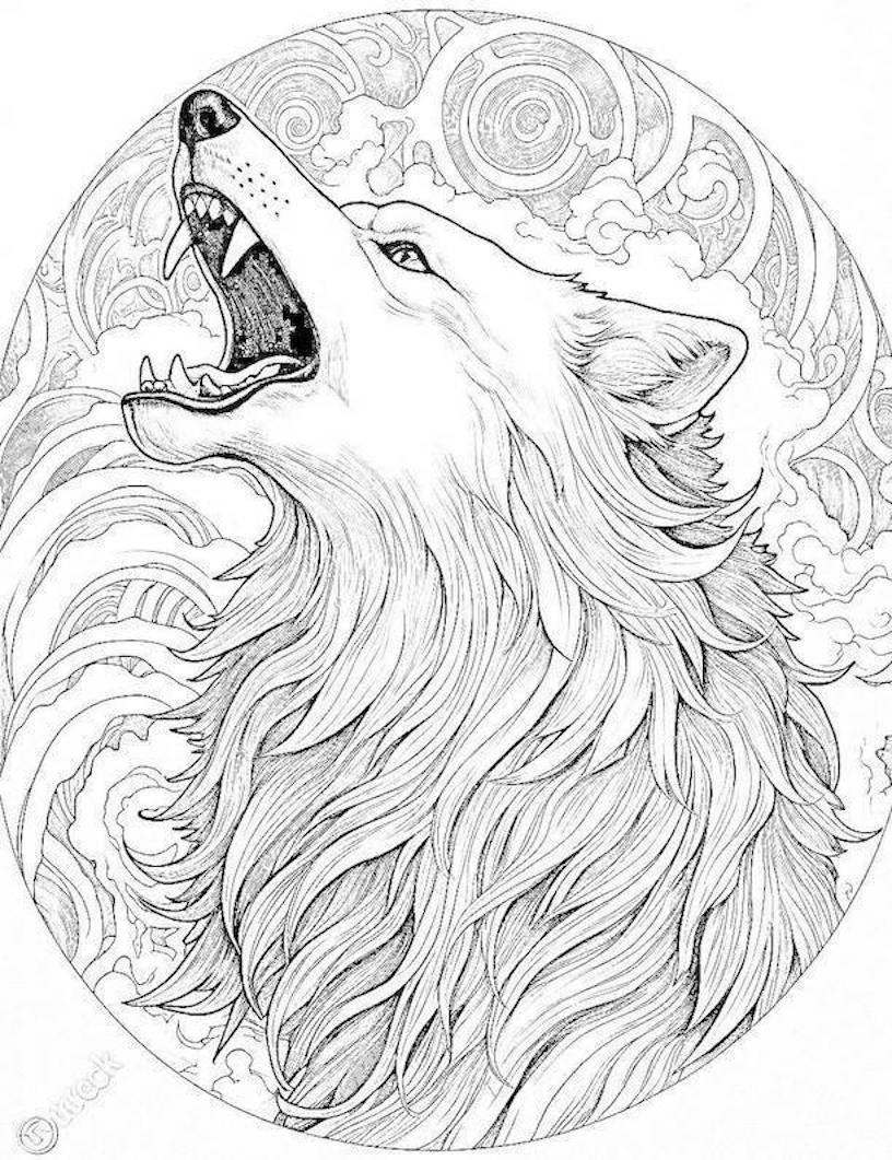 32 Majestic Wolf Coloring Pages For Kids And Adults