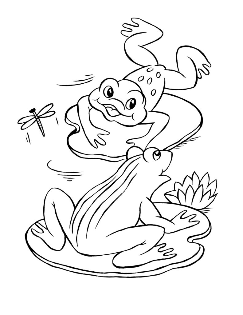 Frog Coloring Pages Free Printable Frog Coloring Pages Free Printable