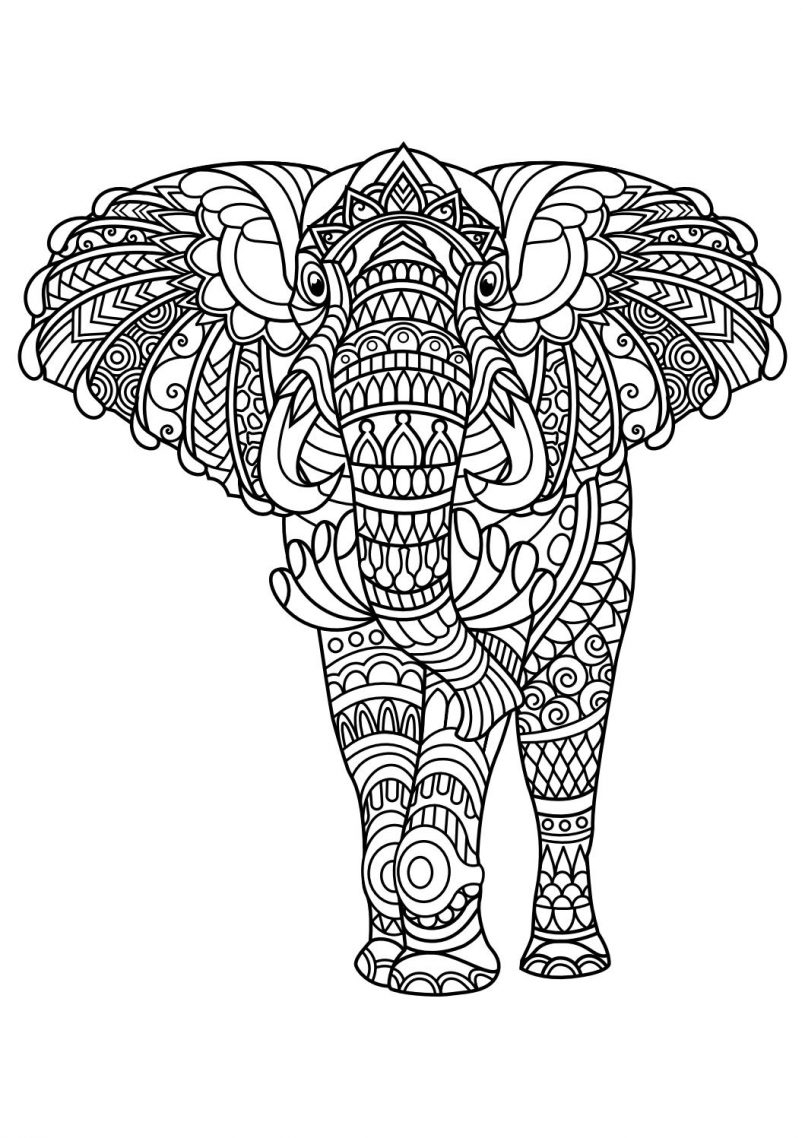 Printable Coloring Pages Of Animals For Adults Printable Coloring Pages Of Animals For Adults