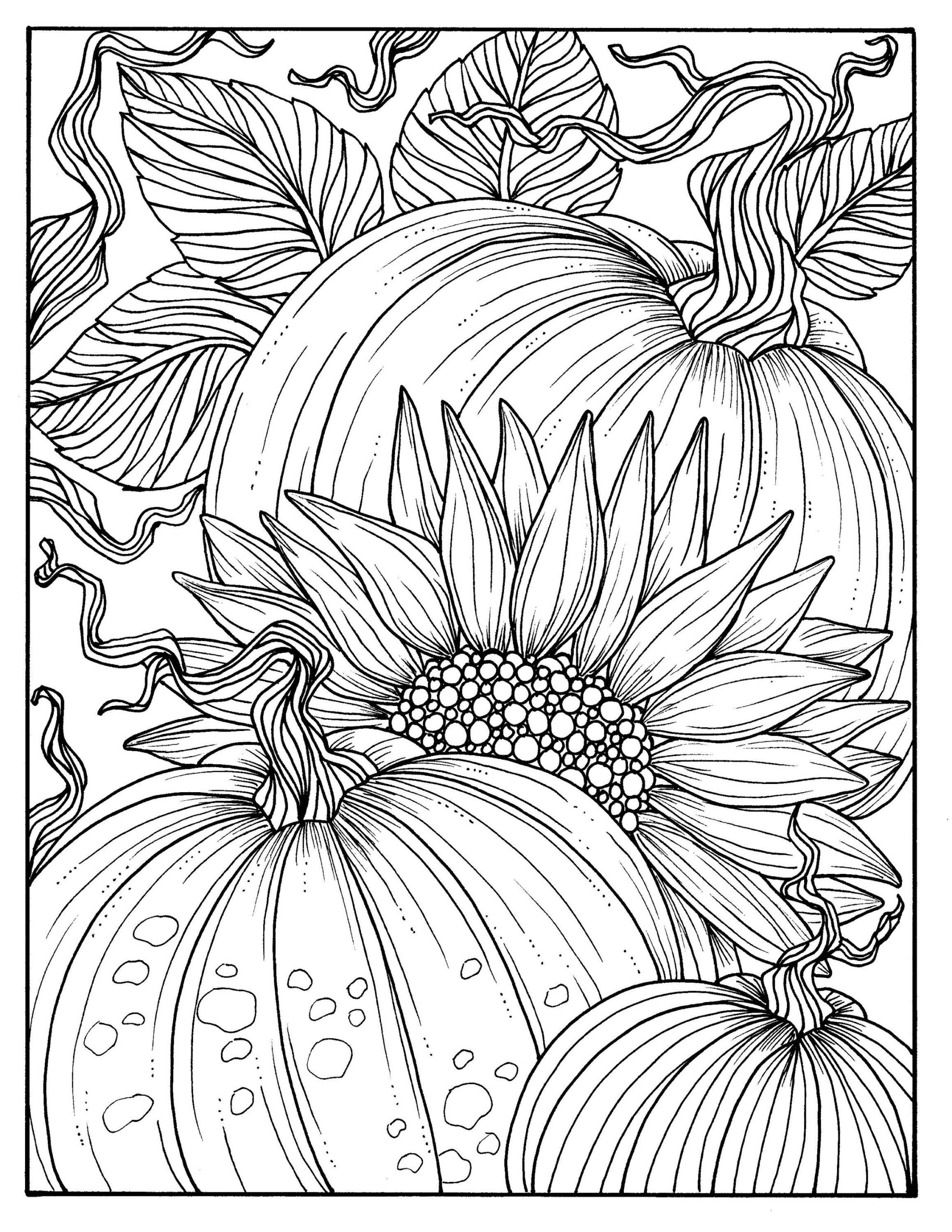 5 Pages Fabulous Fall Digital Downloads To Color Punpkins Etsy