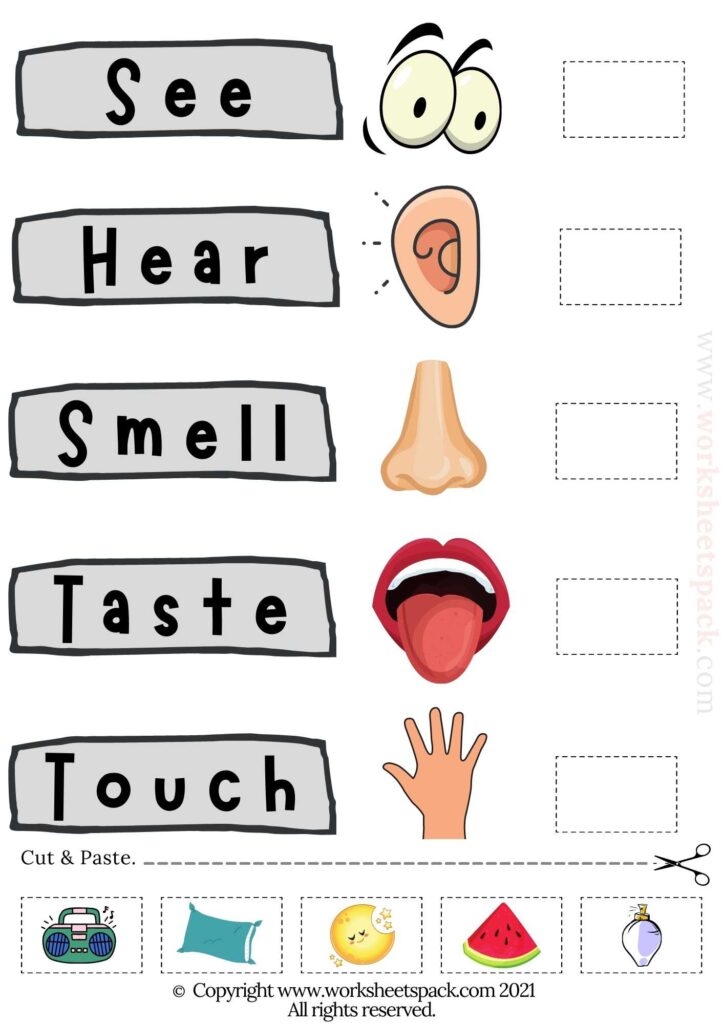 5 Senses Activities For Preschool Worksheetspack 5 Senses Activities For Preschool Worksheetspack