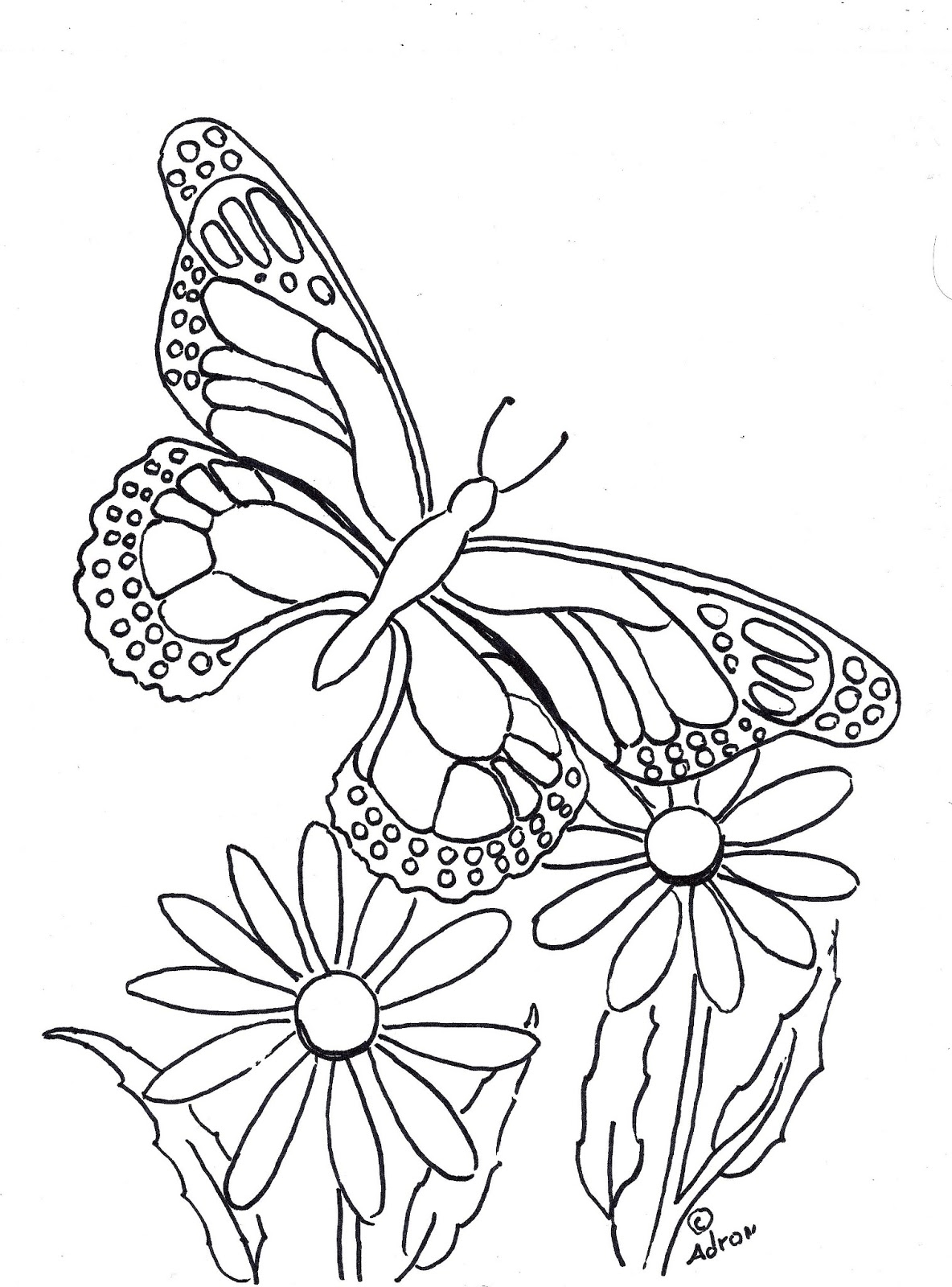 Printable Cute Butterfly Coloring Pages Printable Cute Butterfly Coloring Pages