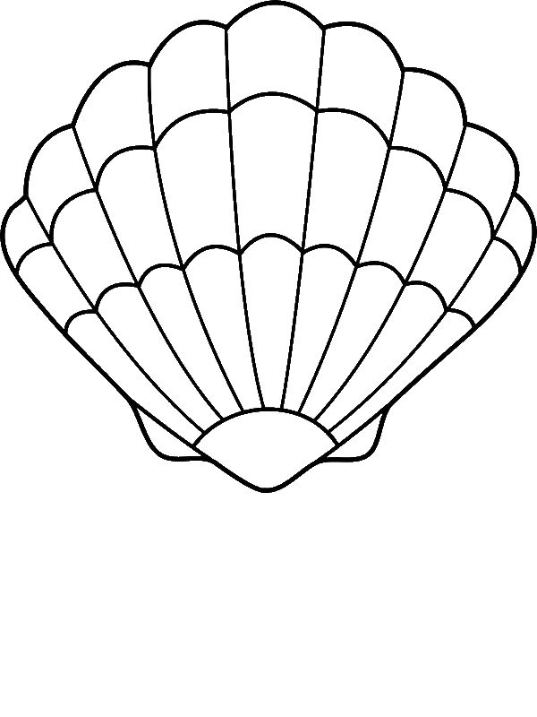 A Lovely Zigzag Scallop Seashell Drawing Coloring Page By Years Old