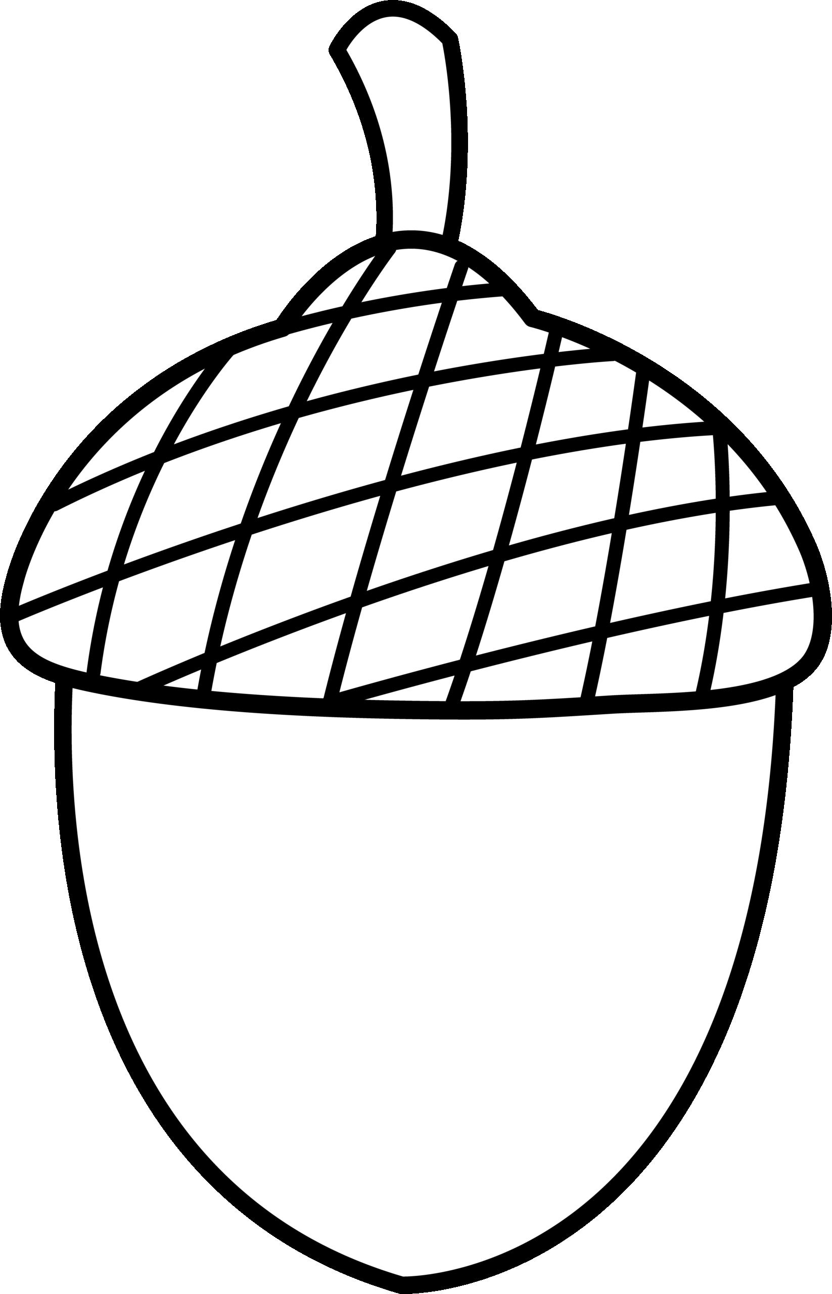 Acorn Coloring Page At GetColorings Free Printable Colorings Acorn Coloring Page At GetColorings Free Printable Colorings
