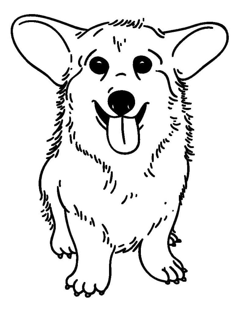 Adorable Corgi Coloring Page Free Printable Coloring Pages For Kids Adorable Corgi Coloring Page Free Printable Coloring Pages For Kids