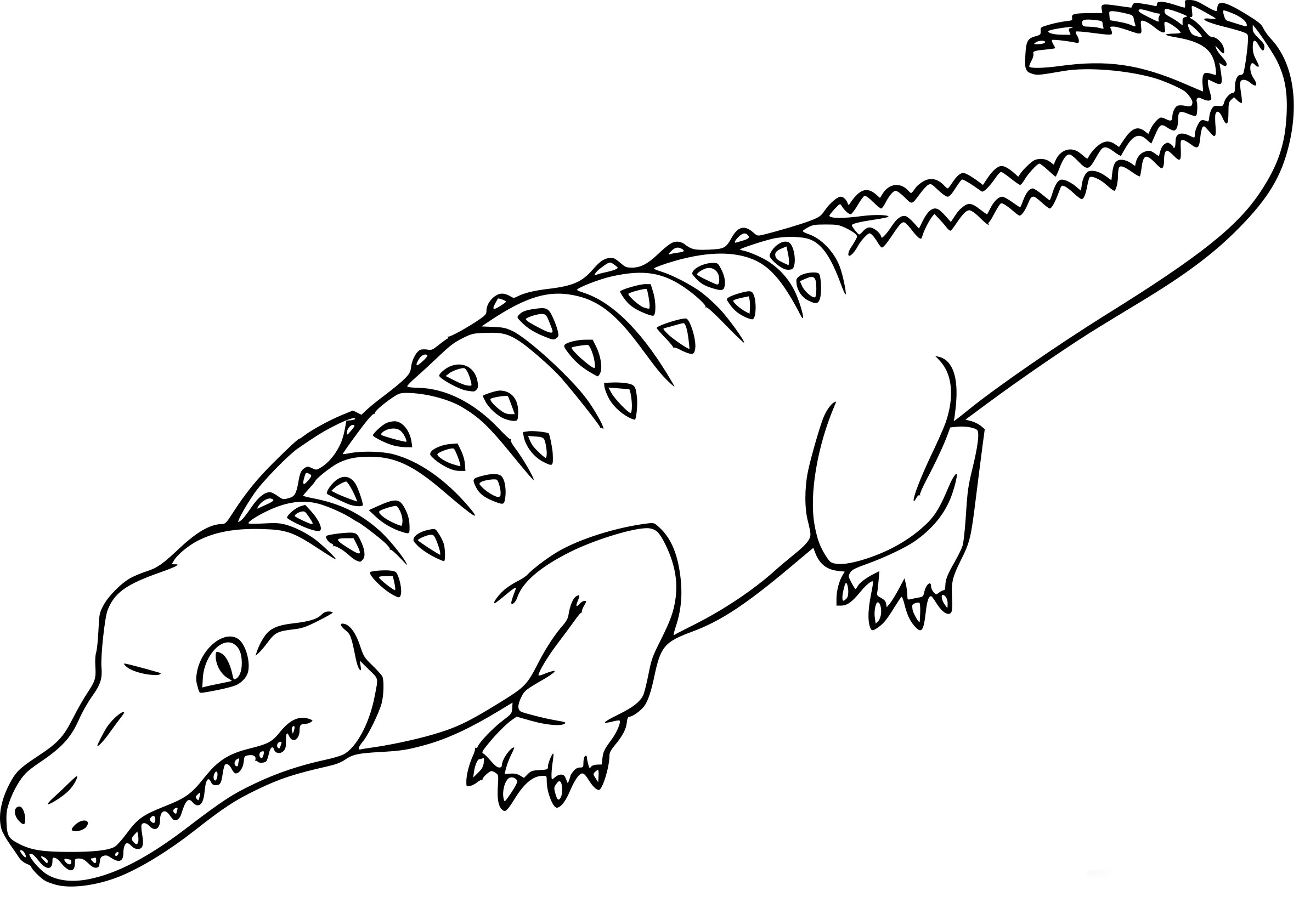 Alligator Coloring Pages Printable Alligator Coloring Pages Printable