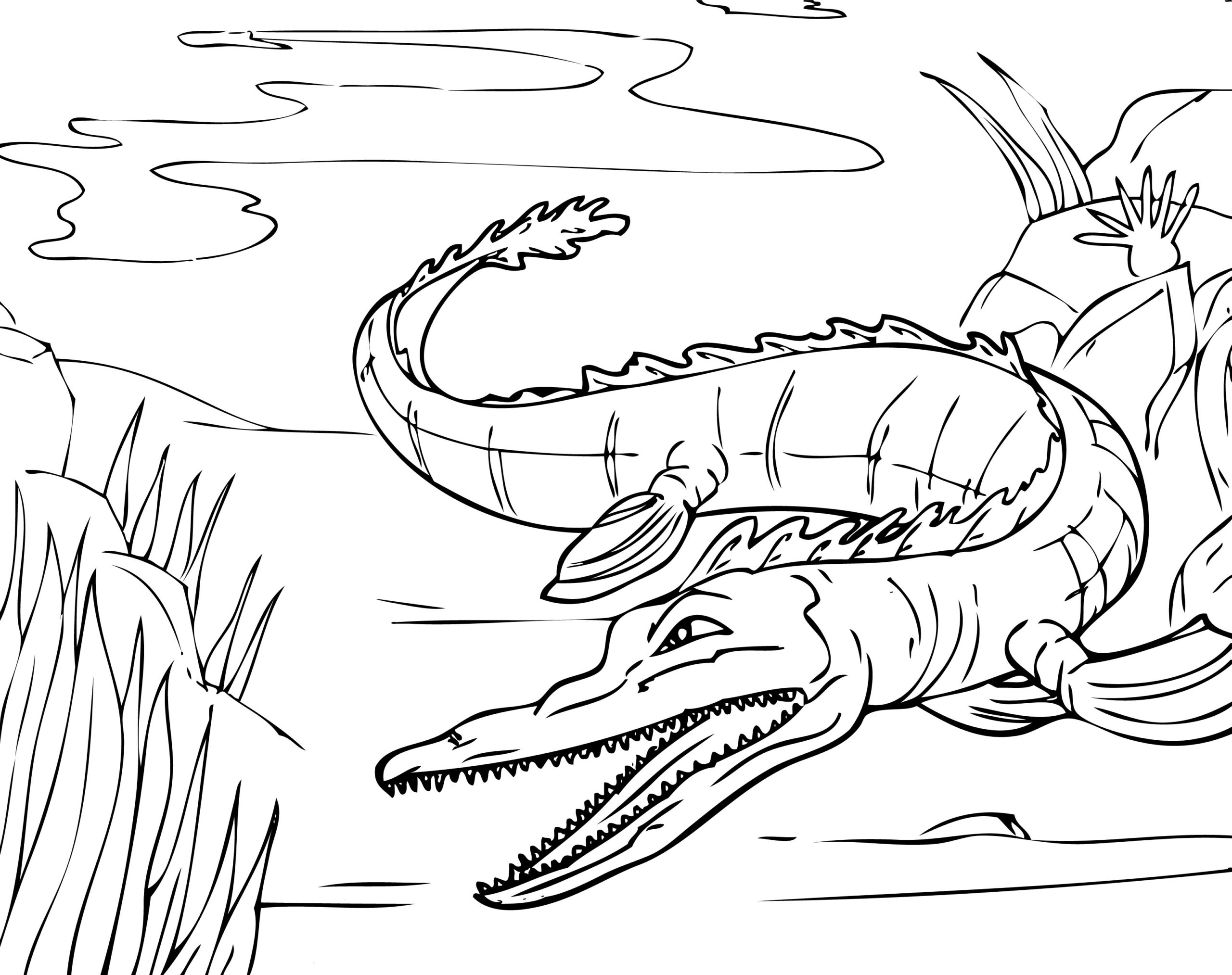 Alligator Coloring Pages Printable