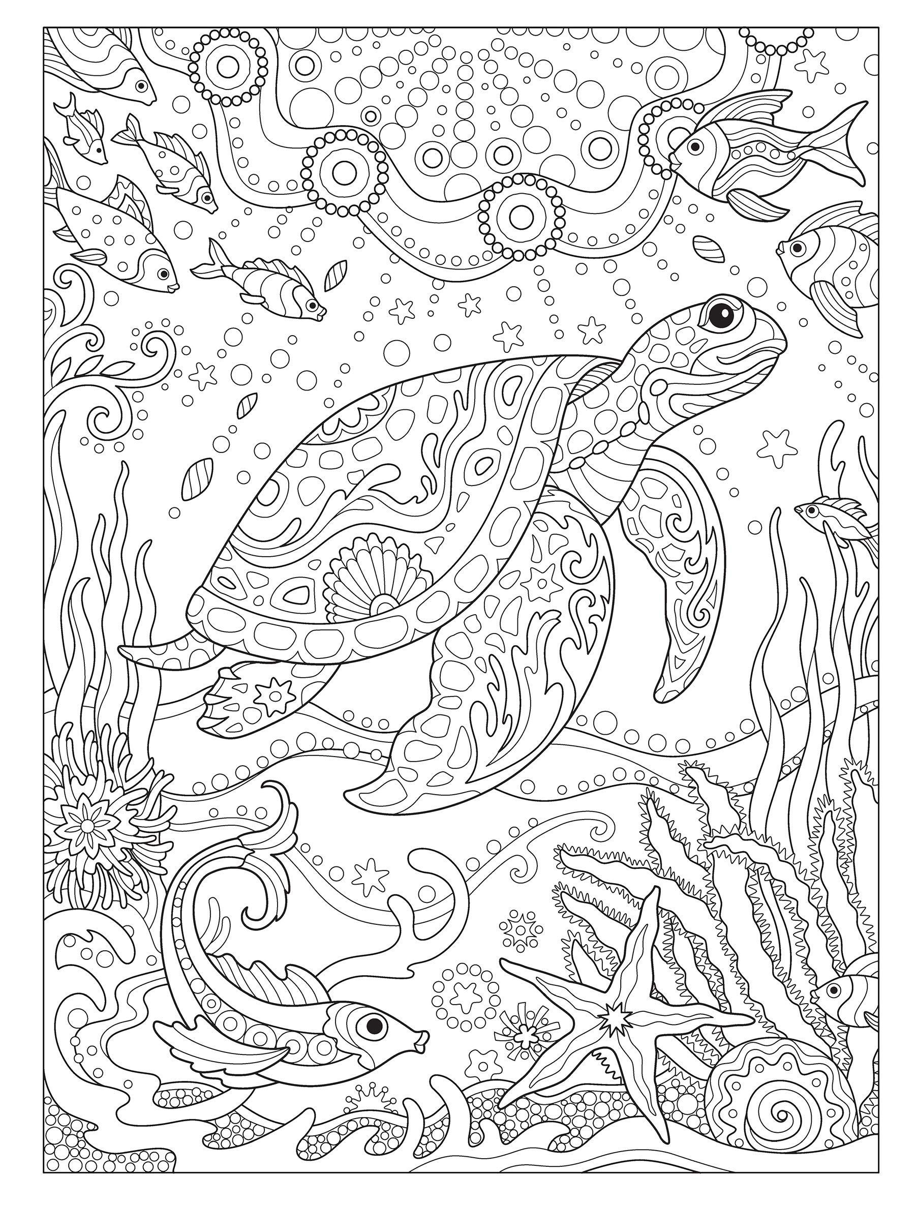 Amazon Creative Haven Fanciful Sea Life Coloring Book Adult