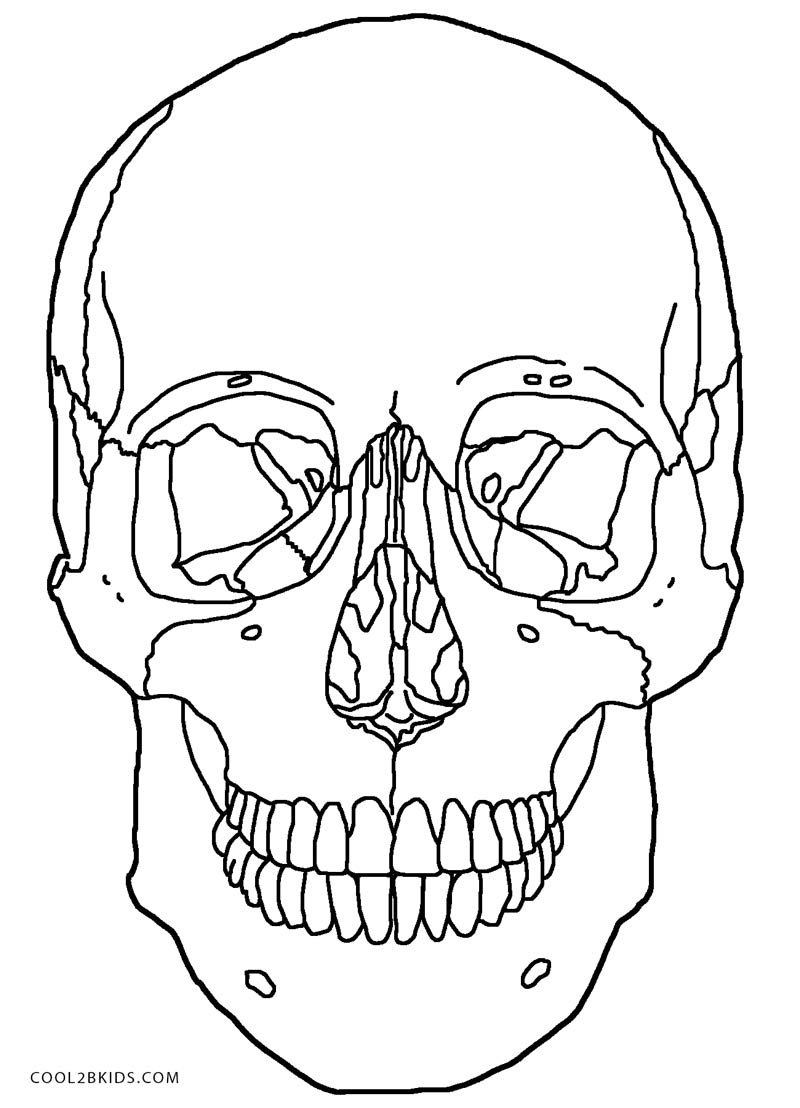 Anatomy And Physiology Coloring Pages Free Coloring Home Anatomy And Physiology Coloring Pages Free Coloring Home