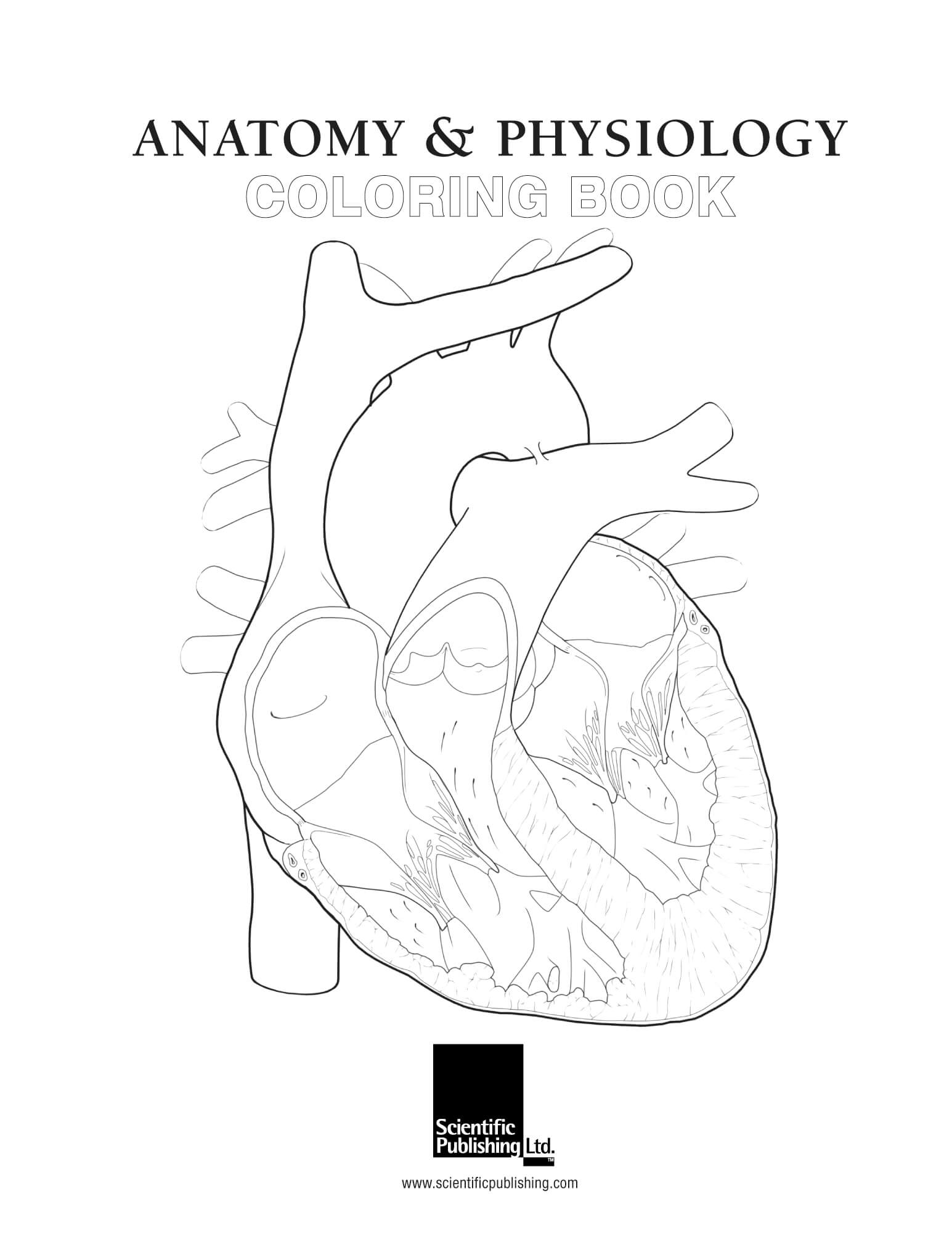 Anatomy Physiology Coloring Book Scientific Publishing Anatomy Anatomy Physiology Coloring Book Scientific Publishing Anatomy