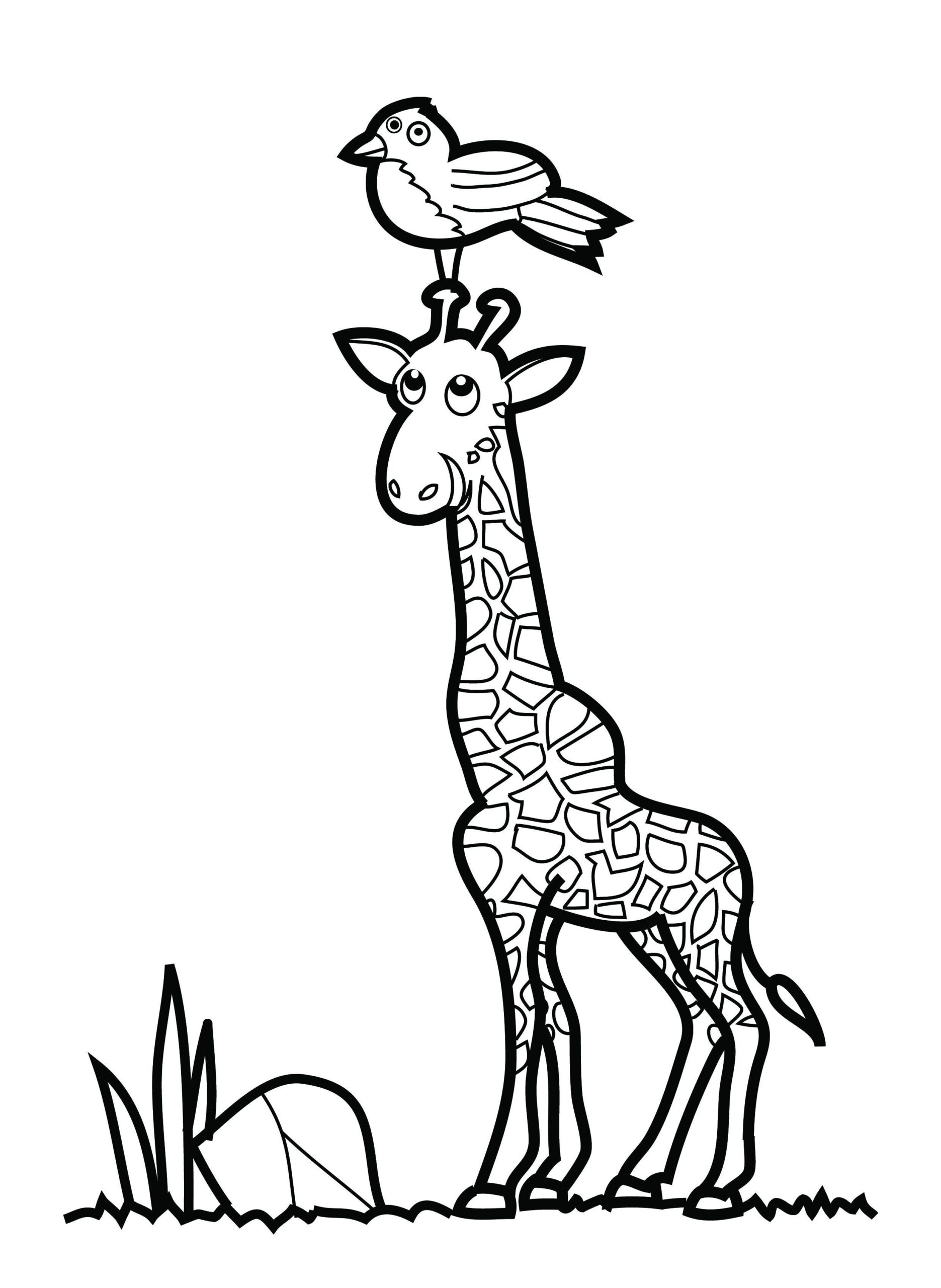 Animal Coloring Pages Giraffe