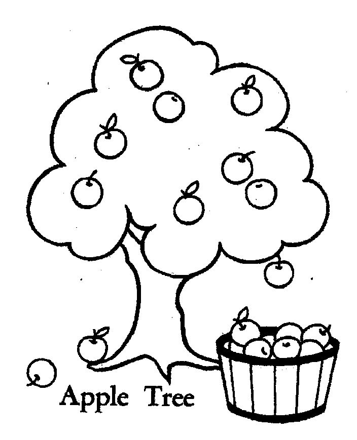 Apple Tree Printable Coloring Pages Apple Tree Printable Coloring Pages