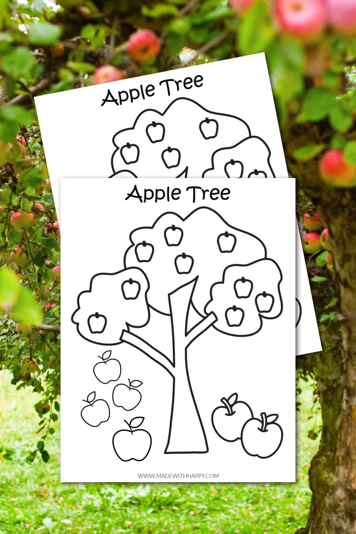 Apple Tree Printable Coloring Pages Apple Tree Printable Coloring Pages