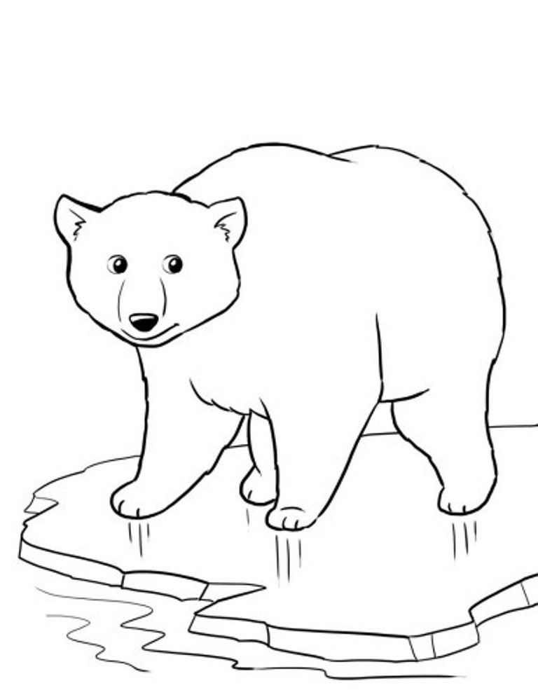 Arctic Animals Coloring Pages Best Coloring Pages For Kids Arctic Animals Coloring Pages Best Coloring Pages For Kids