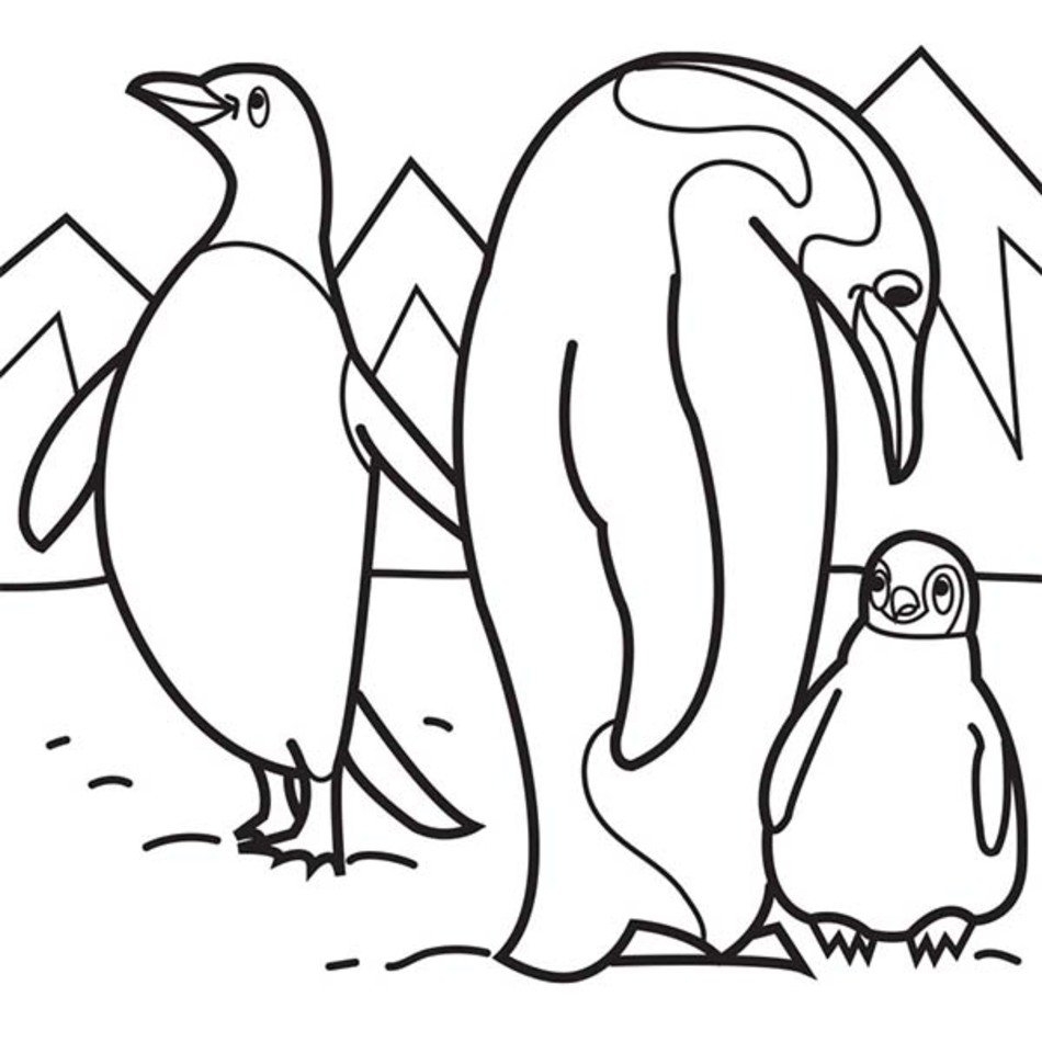 Arctic Animals Coloring Pages Free Image Download Arctic Animals Coloring Pages Free Image Download
