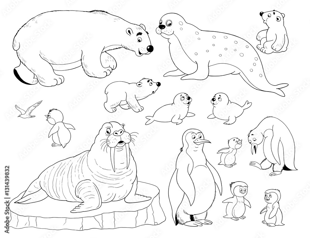 Arctic Coloring Pages Arctic Coloring Pages