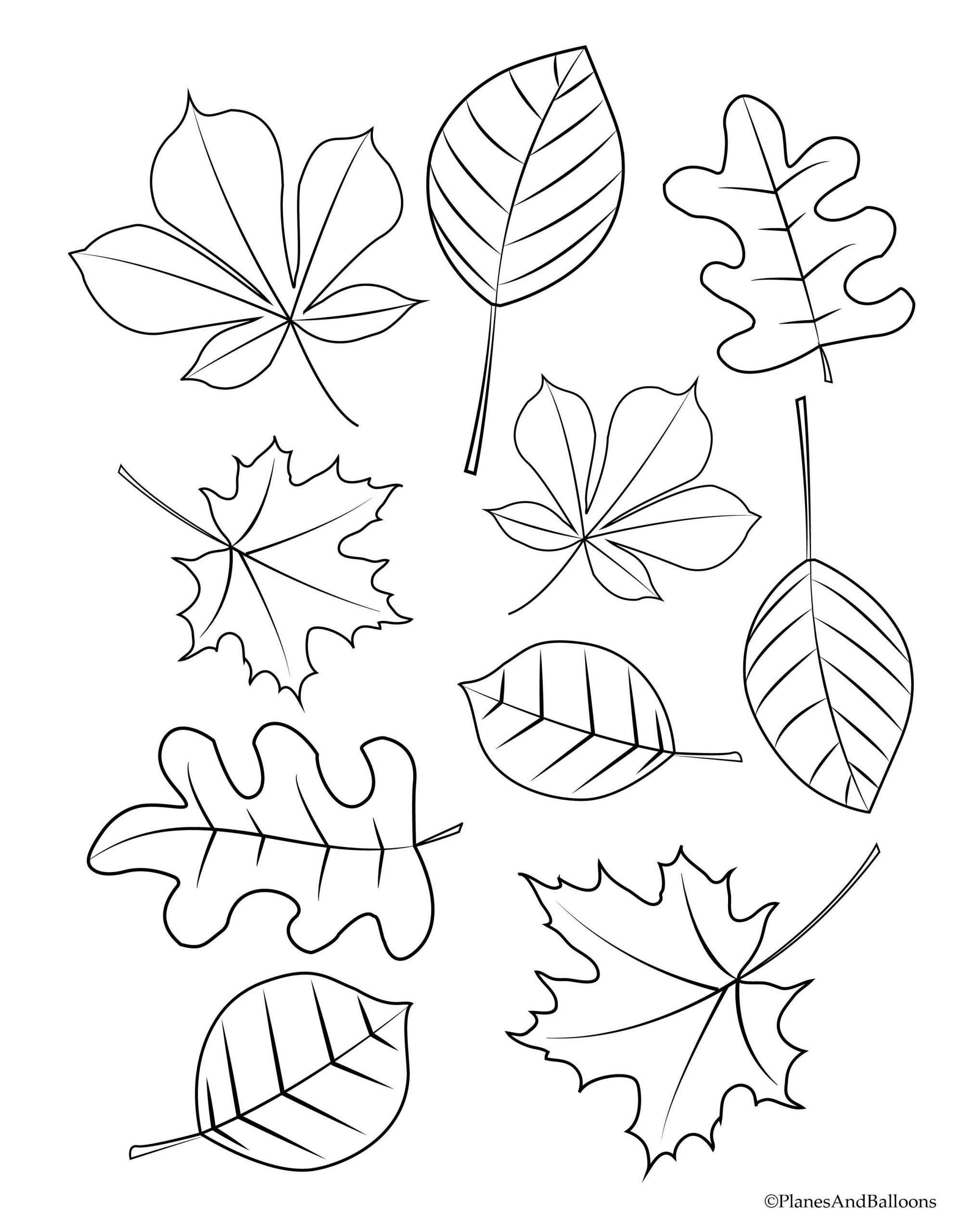 Autumn Colouring Sheets Coloring Home Vrogue Co Autumn Colouring Sheets Coloring Home Vrogue Co