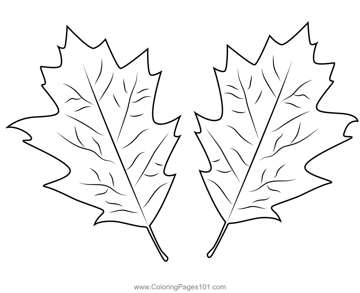 Autumn Leaves Coloring Pages Autumn Leaves Coloring Pages