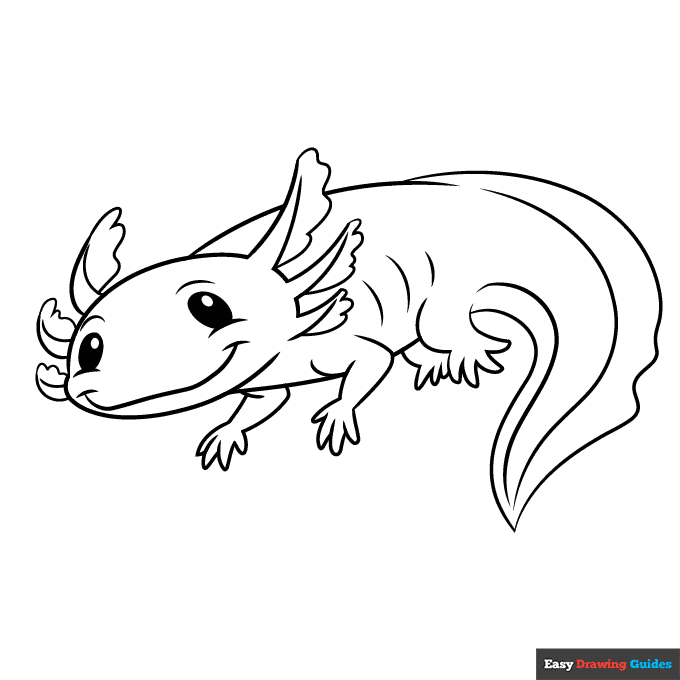 Axolotl Coloring Page Easy Drawing Guides Axolotl Coloring Page Easy Drawing Guides