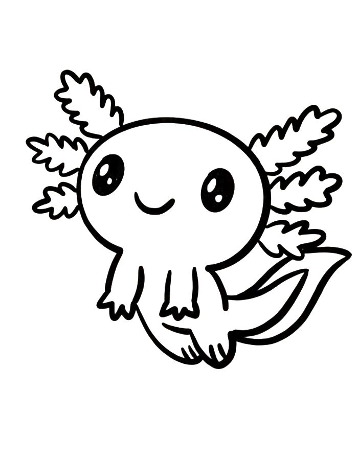 Axolotl Picture Coloring Page Axolotl Picture Coloring Page