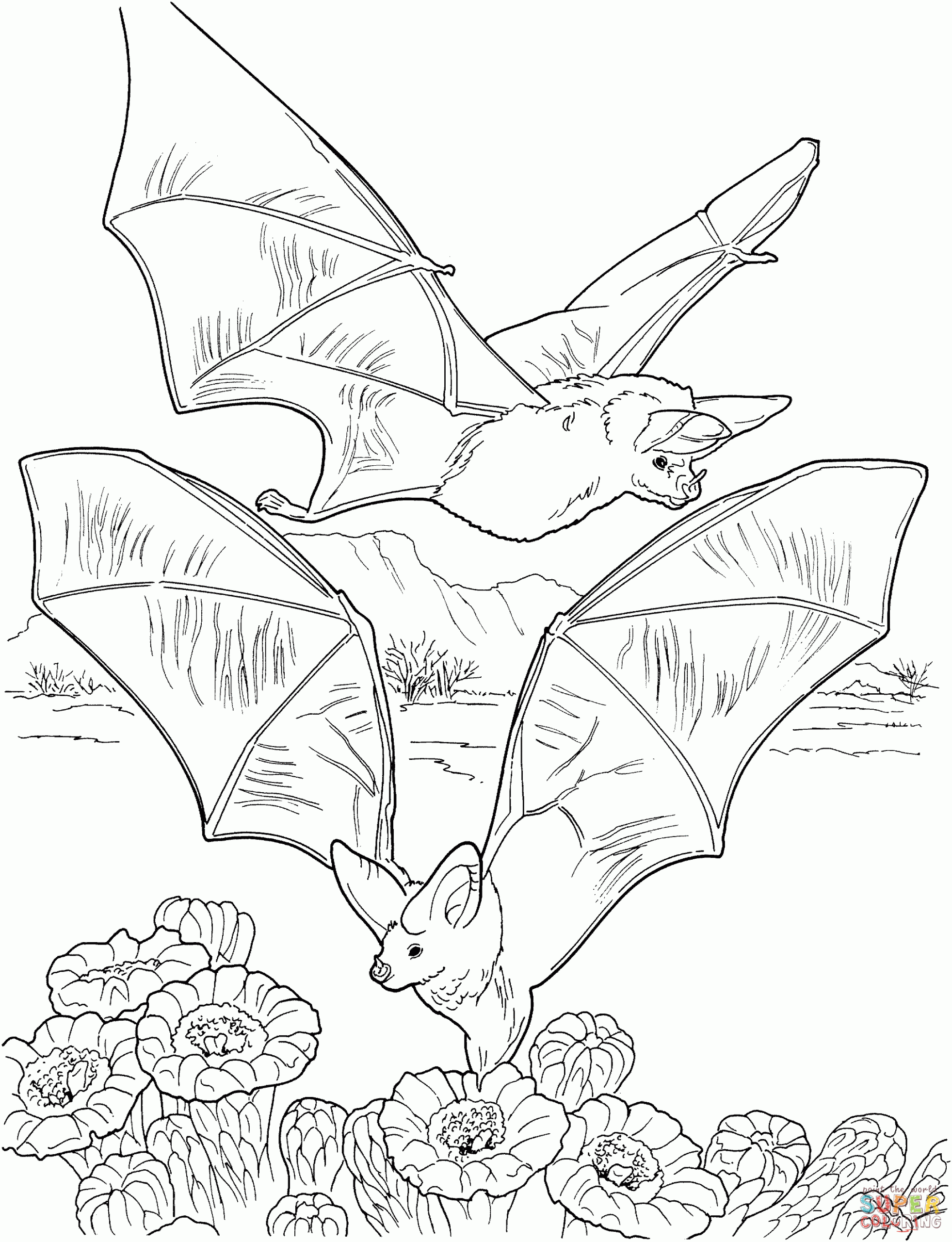 Baby Bat Coloring Pages Free Printable Coloring Libra Vrogue Co Baby Bat Coloring Pages Free Printable Coloring Libra Vrogue Co