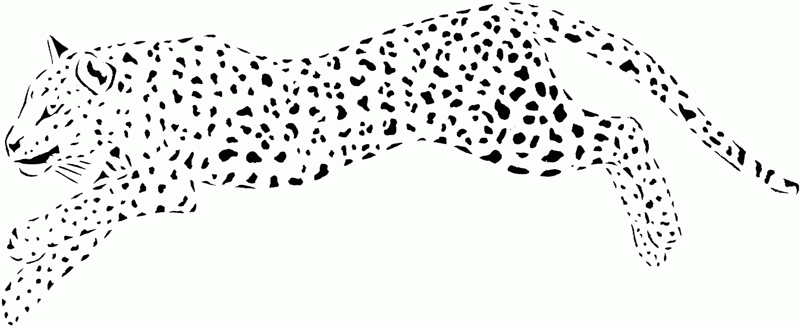 Baby Cheetah For Coloring Pages Coloring Home Baby Cheetah For Coloring Pages Coloring Home