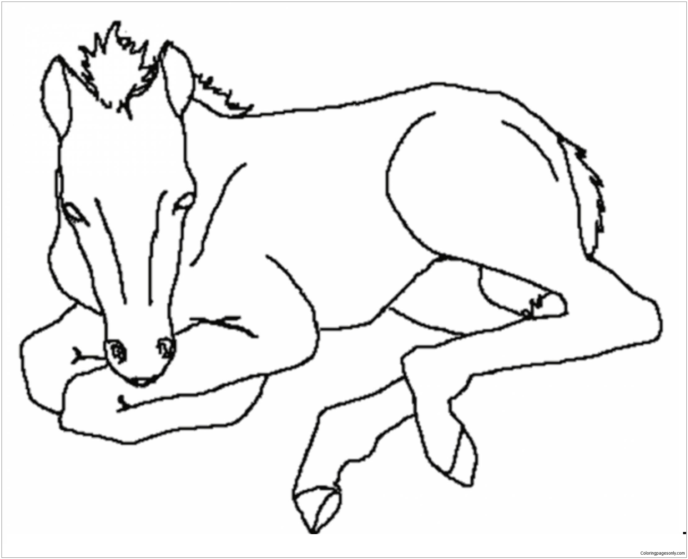 Coloring Pages Horses Free Printable Coloring Pages Horses Free Printable