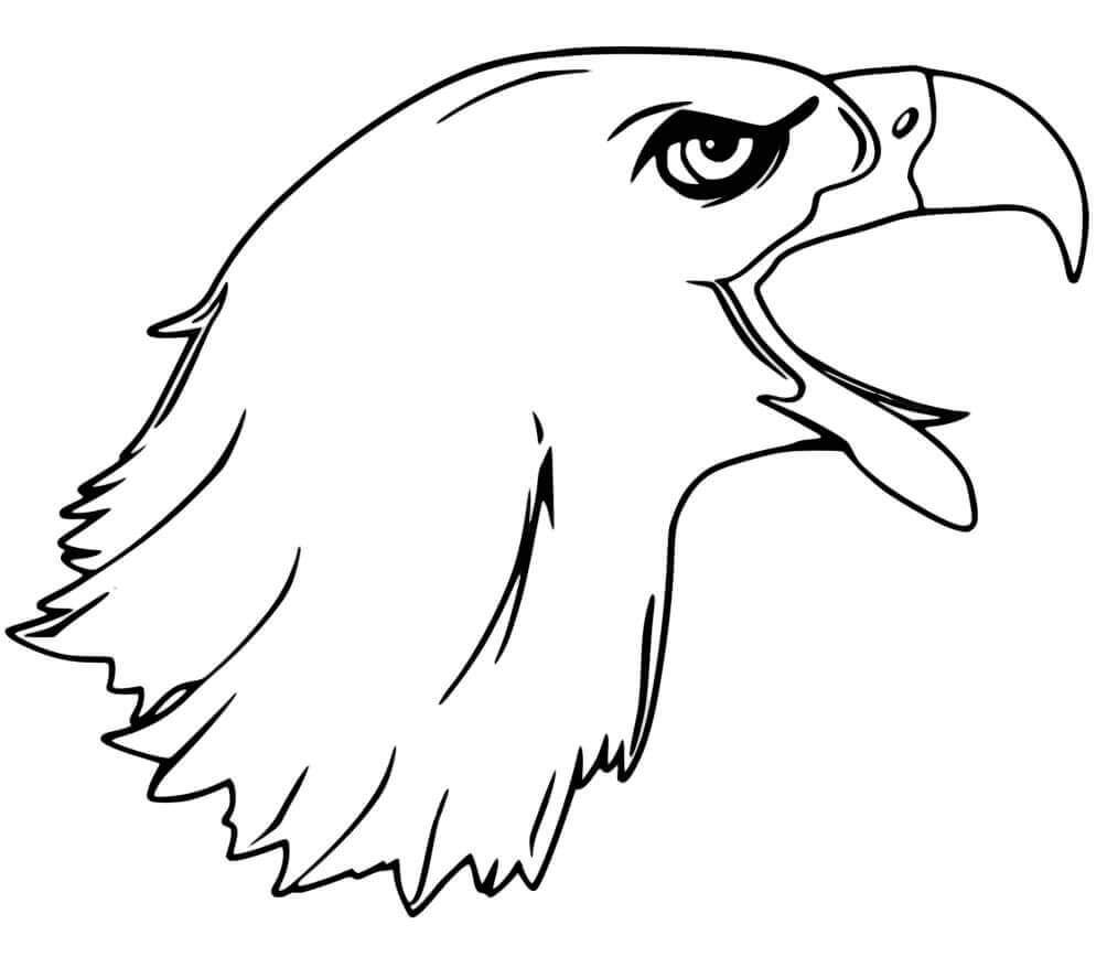 Bald Eagle Coloring Page Free Printable Coloring Pages For Kids