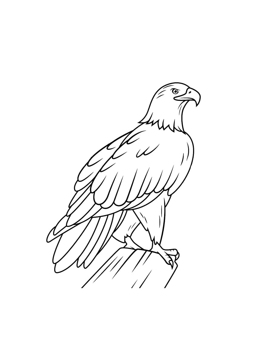 Bald Eagle Coloring Pages Bald Eagle Coloring Pages