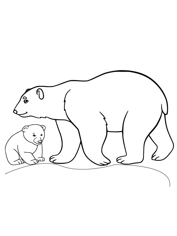Bear And Cub Arctic Animals Coloring Page Free Printable Coloring Bear And Cub Arctic Animals Coloring Page Free Printable Coloring