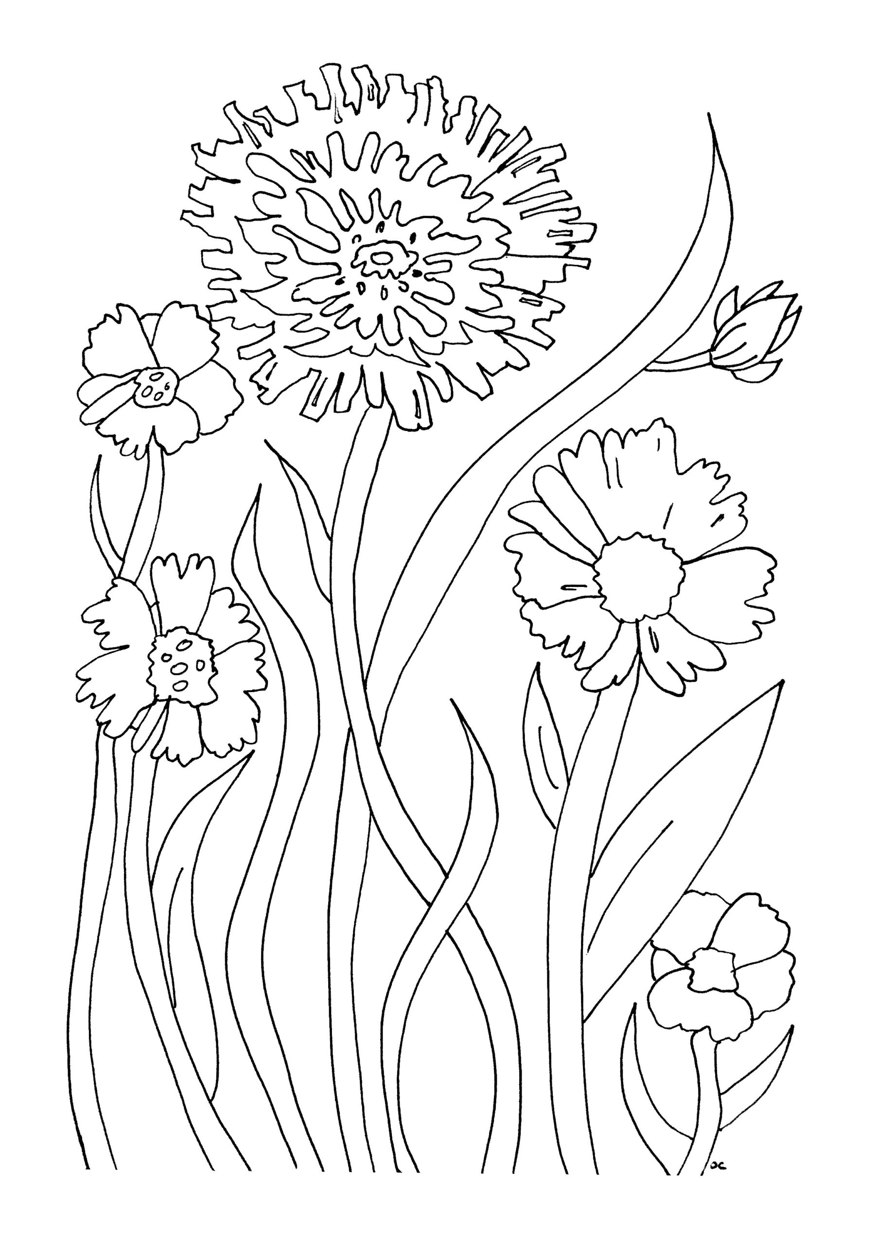 Beautiful Flowers To Color Flower Coloring Pages For Kids Beautiful Flowers To Color Flower Coloring Pages For Kids