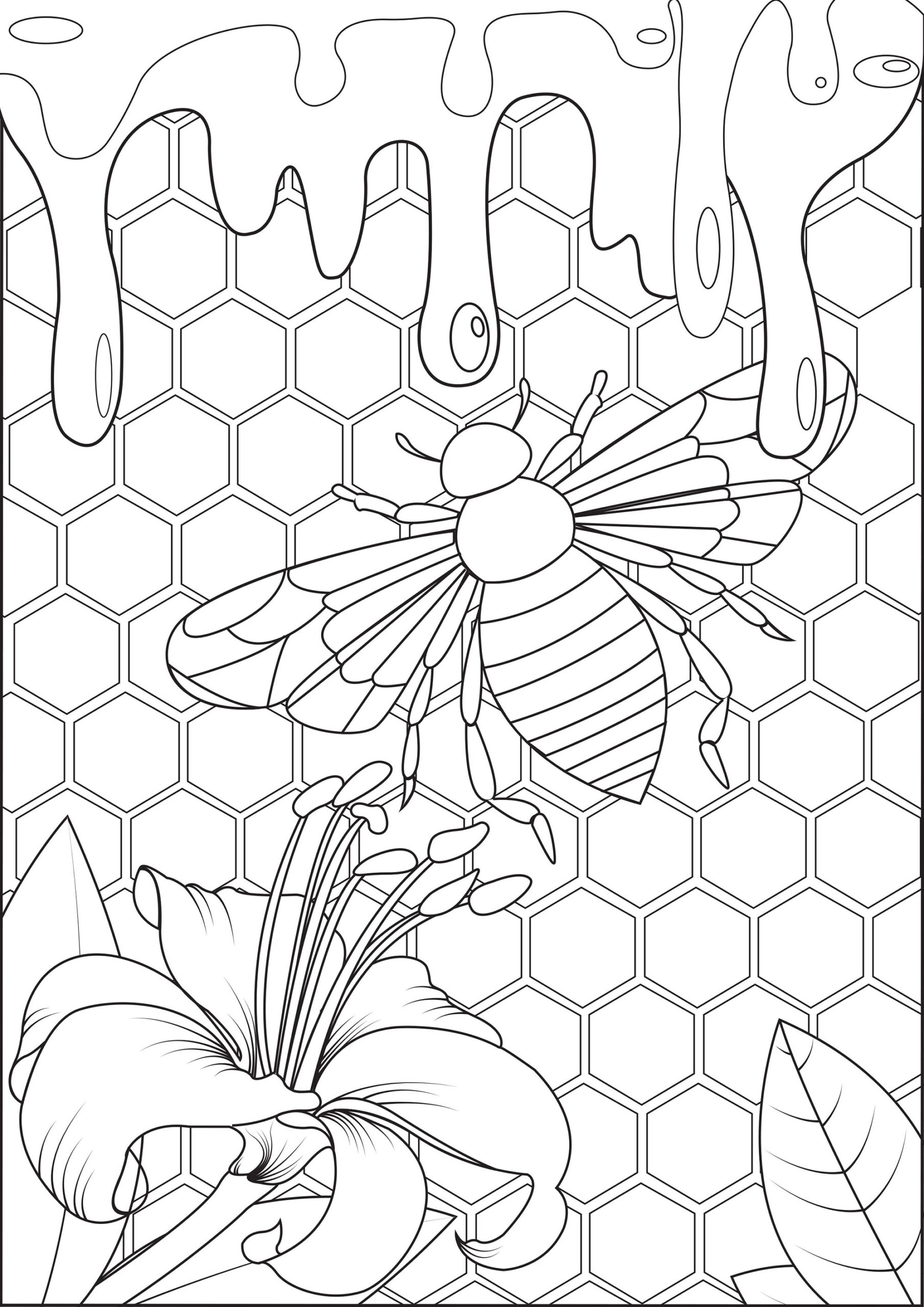 Bee Coloring Pages Bee Coloring Pages
