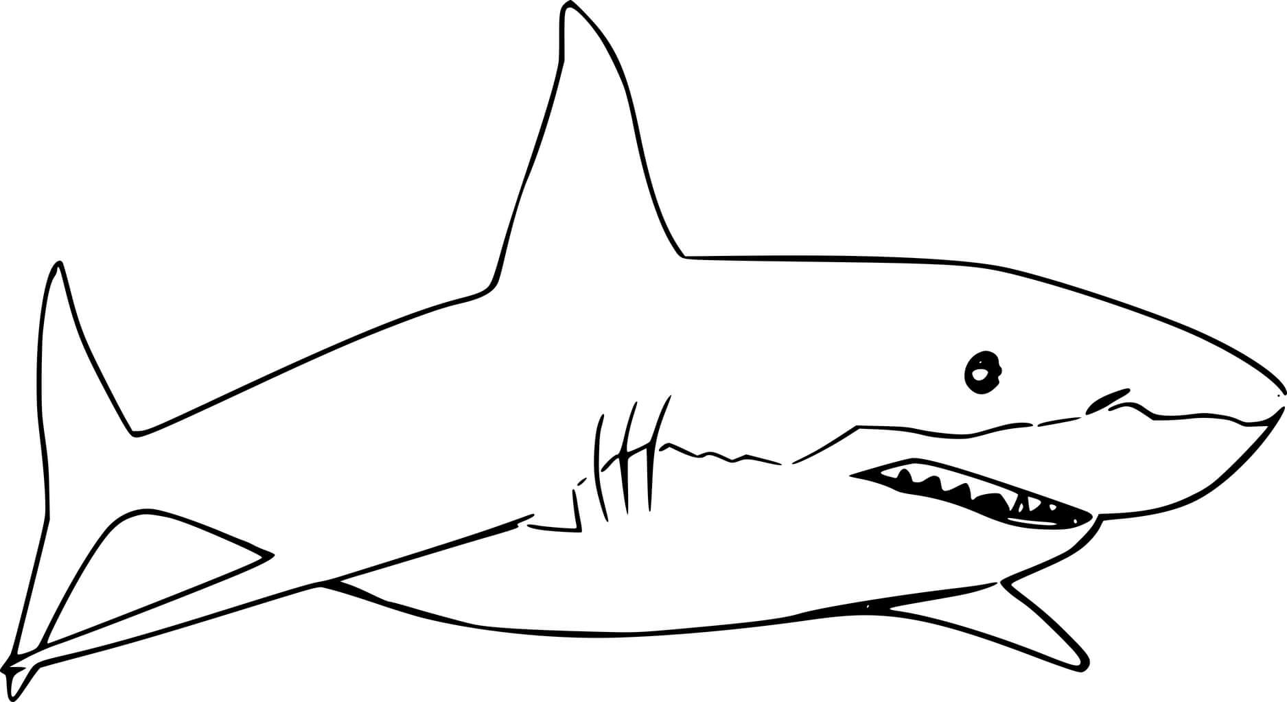 Bigeye Thresher Shark Coloring Pages Coloring Cool Bigeye Thresher Shark Coloring Pages Coloring Cool