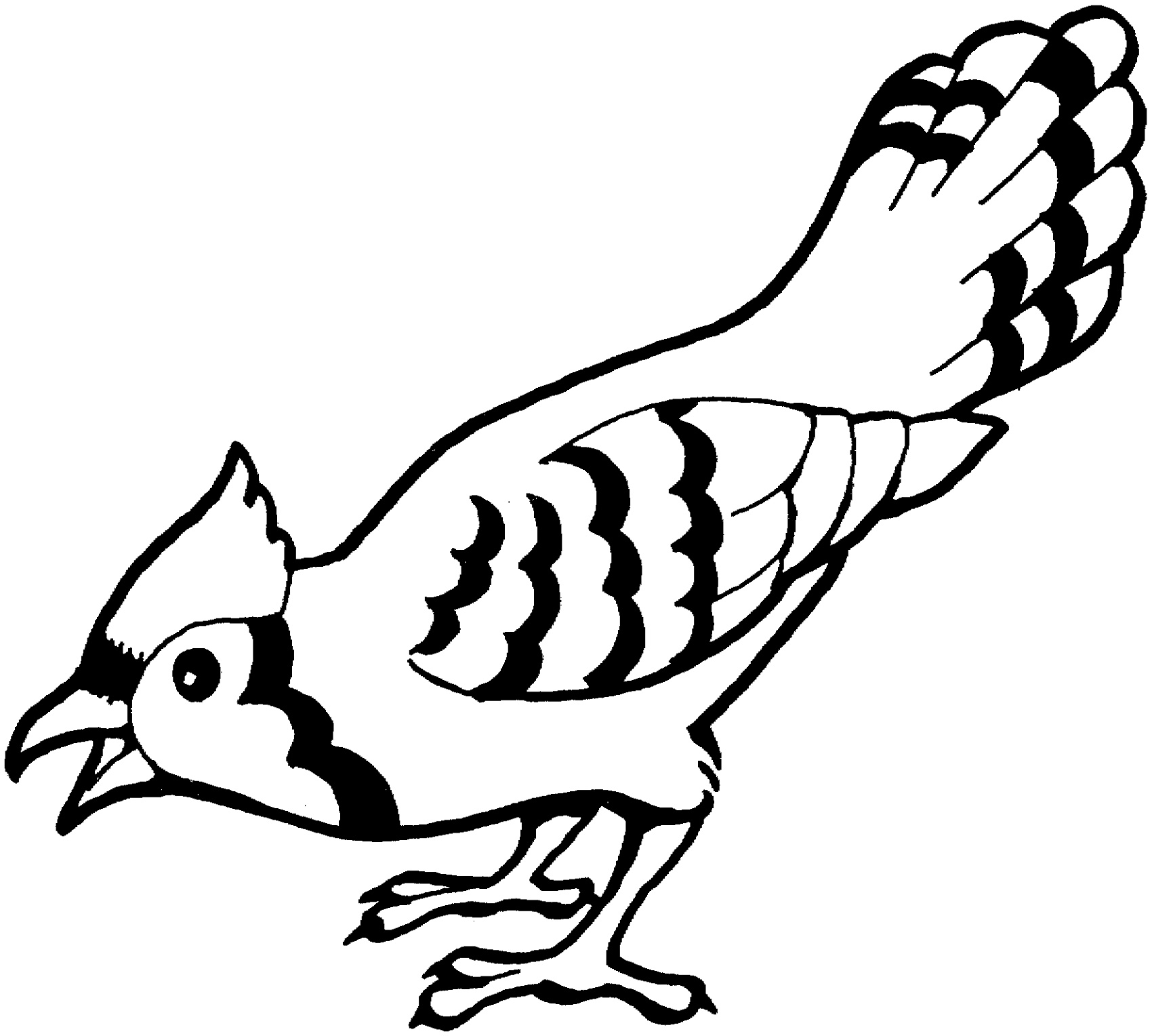 Bird Coloring Pages Realistic Realistic Coloring Page Vrogue Co Bird Coloring Pages Realistic Realistic Coloring Page Vrogue Co