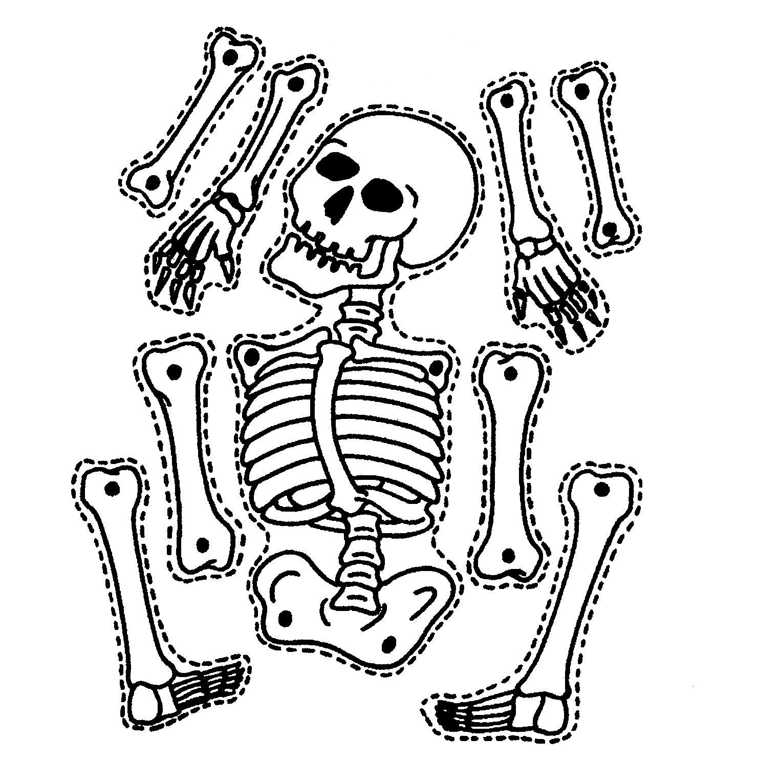 Bone Cut Outs ClipArt Best Bone Cut Outs ClipArt Best