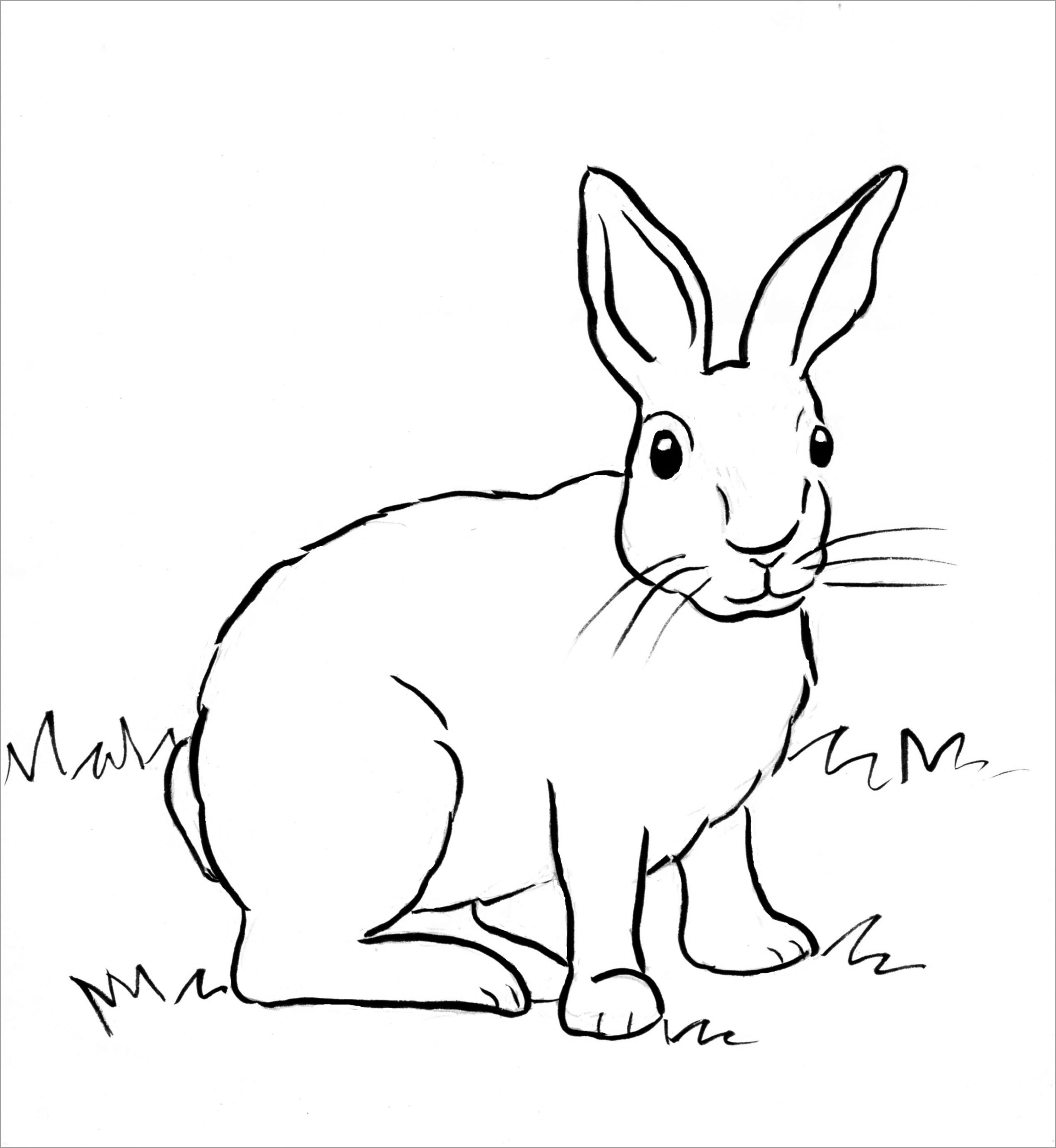 Printable Bunny Rabbit Coloring Pages