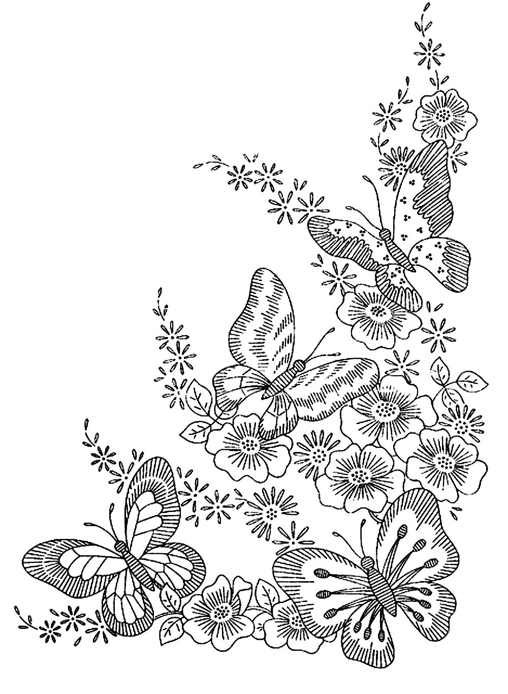 Butterflies Butterflies Insects Coloring Pages For Adults