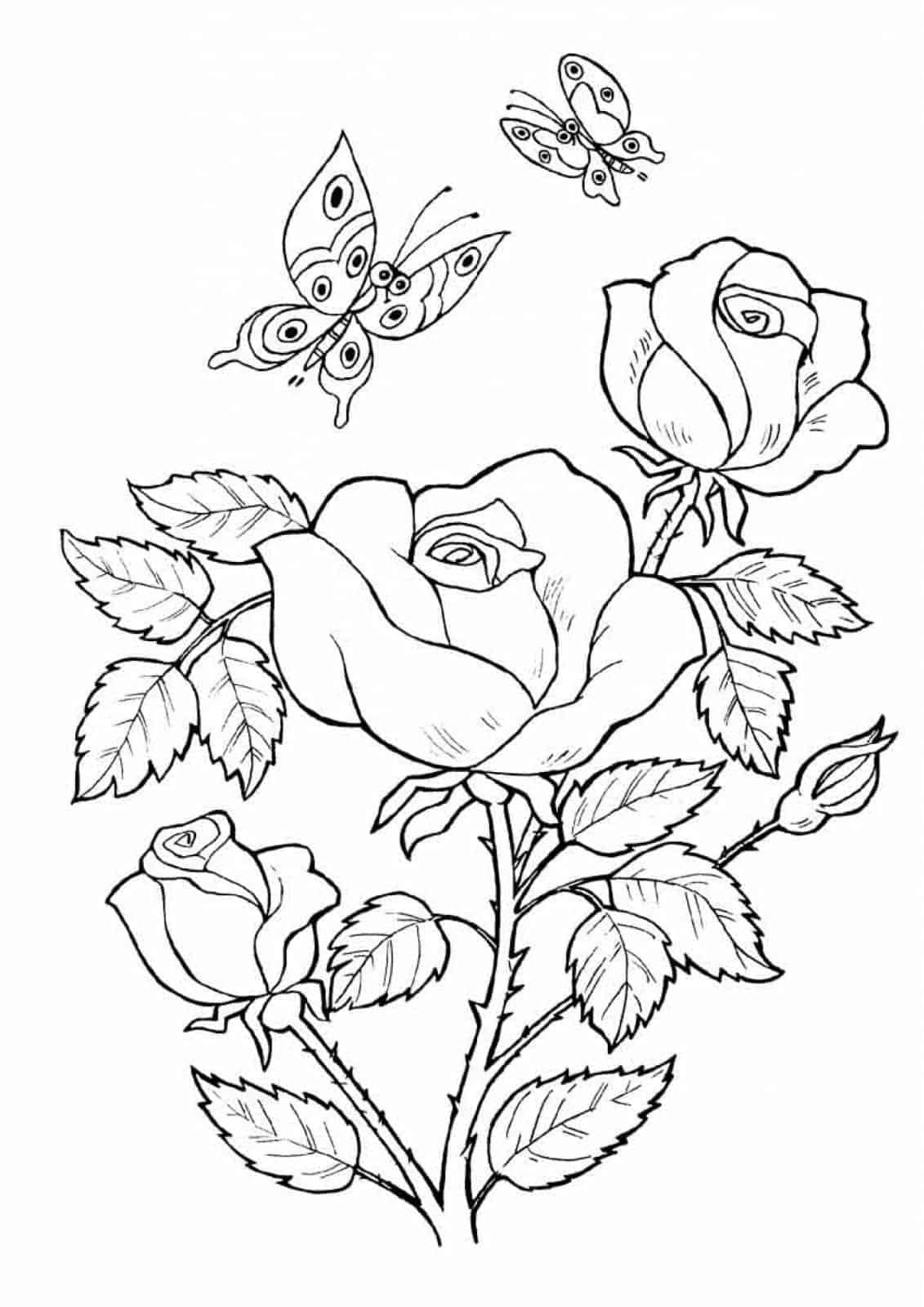 Butterfly And Flower Coloring Pages From Flowers Coloring Pages
