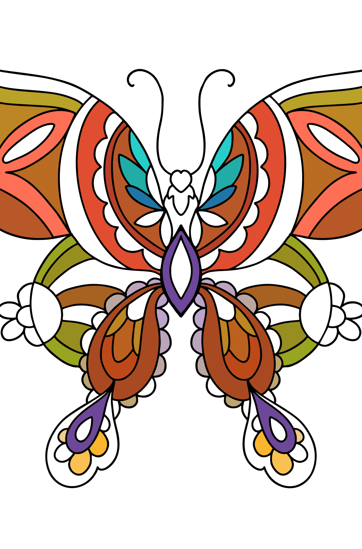 Butterfly Kallima Butterflies Coloring Pages For Adults Online Butterfly Kallima Butterflies Coloring Pages For Adults Online