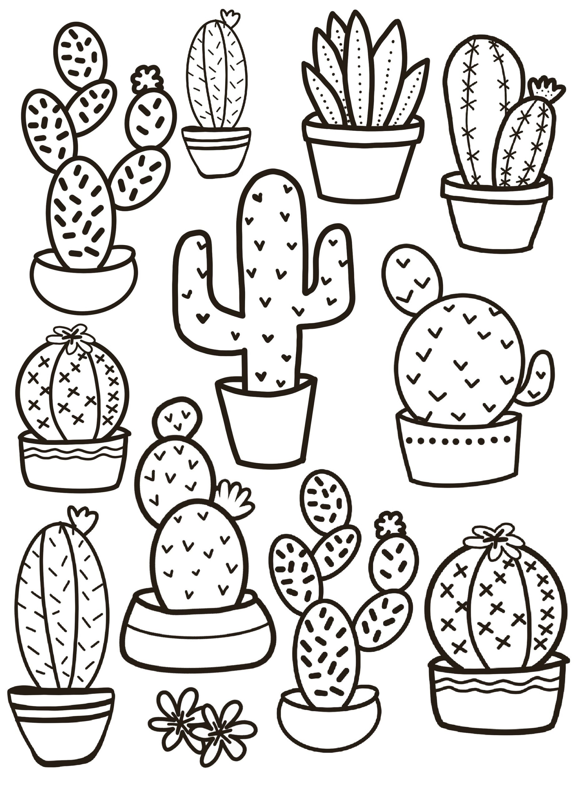Cactus Coloring Page Cactus Coloring Page