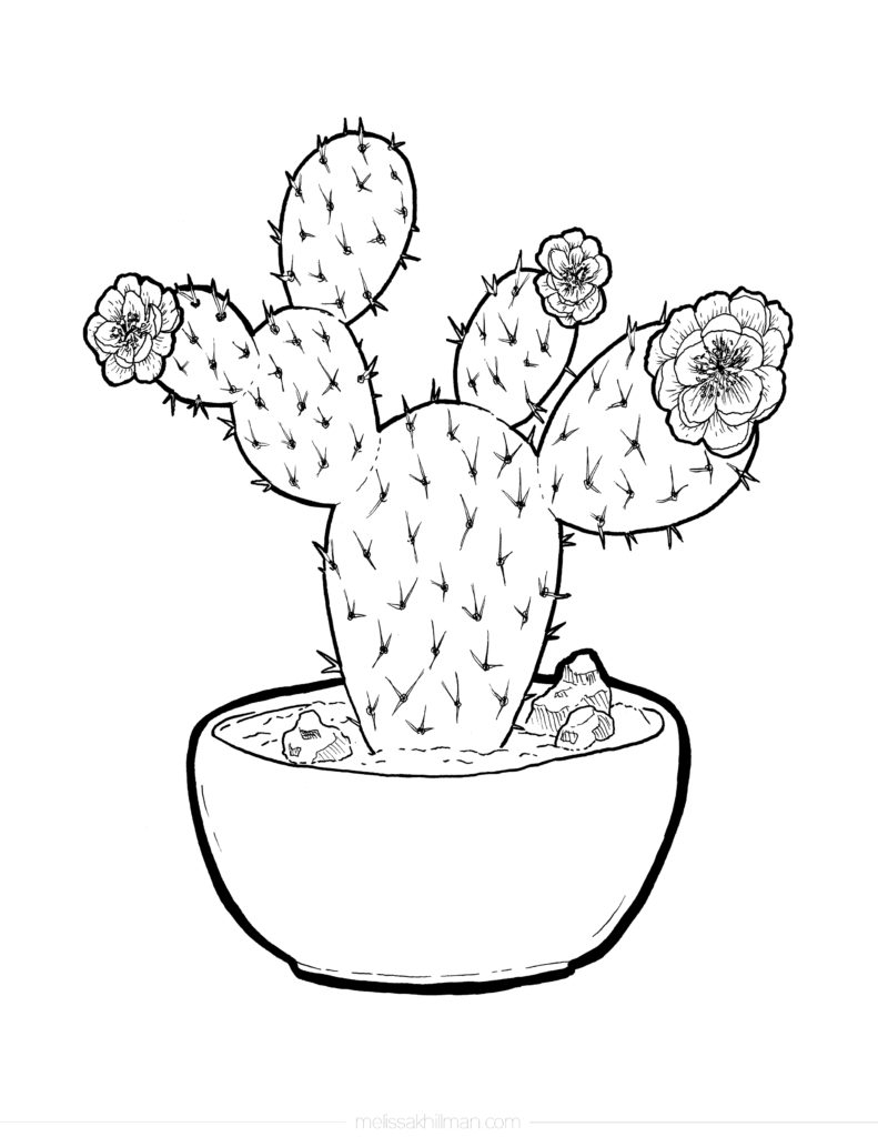 Cactus Coloring Pages Printable Cactus Coloring Pages Printable