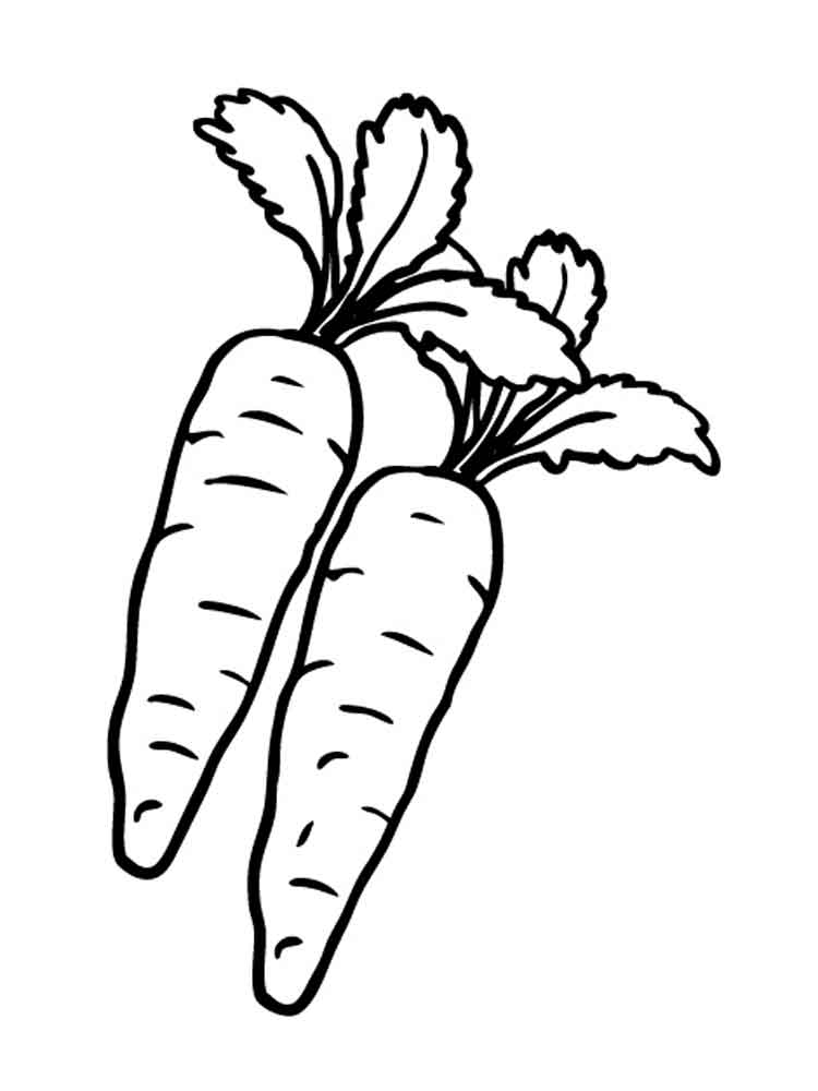 Carrot Coloring Pages Carrot Coloring Pages