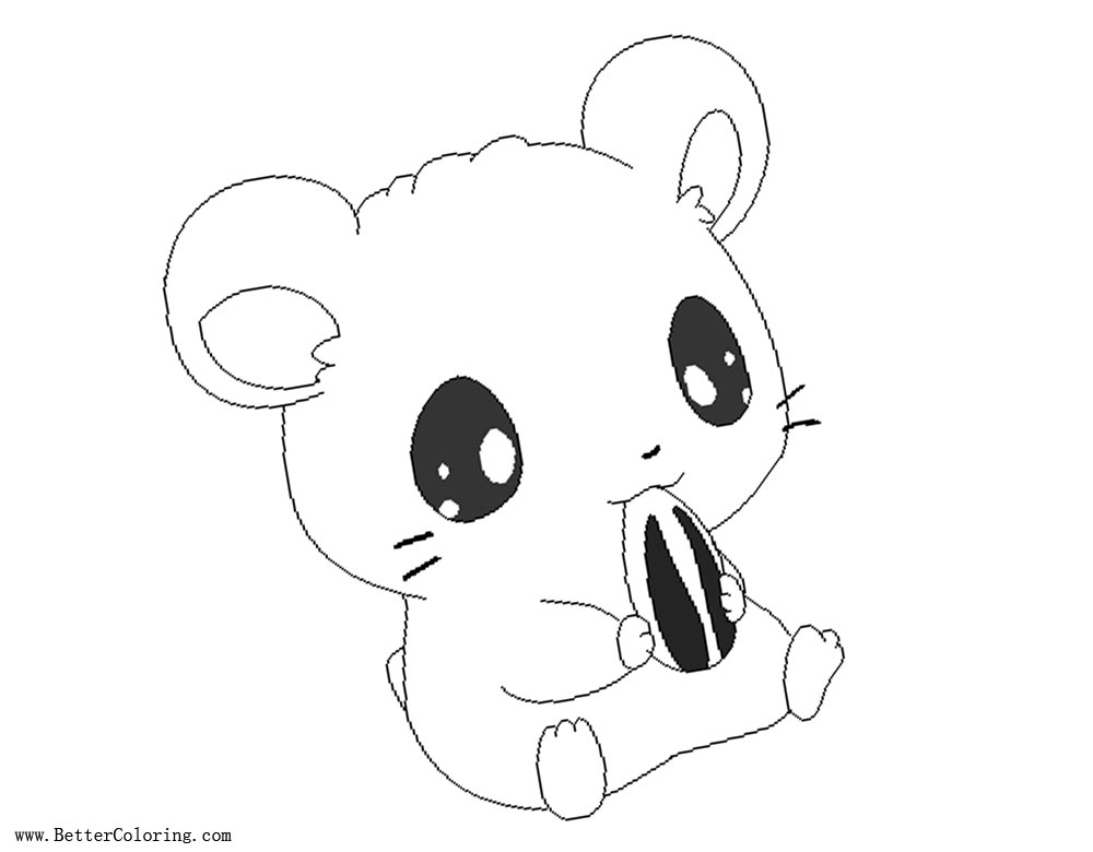 Cartoon Hamster Coloring Pages With Sunflower Seed Free Printable Cartoon Hamster Coloring Pages With Sunflower Seed Free Printable