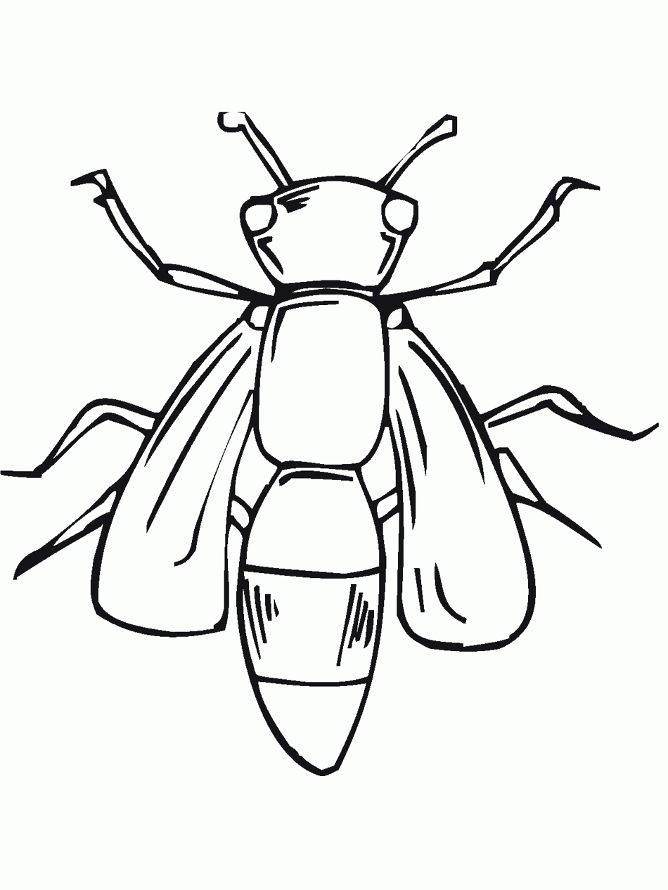 Cartoon Insect Coloring Pages Cartoon Insect Coloring Pages