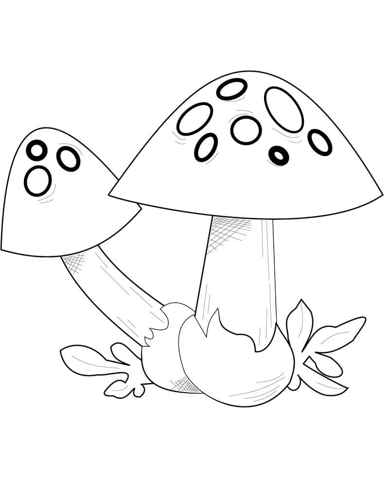 Mushroom Printable Coloring Pages Mushroom Printable Coloring Pages