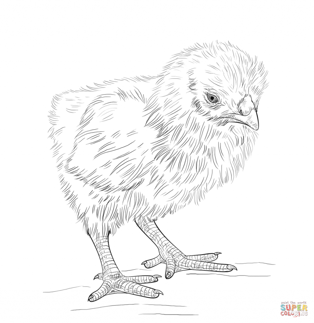 Chicken Nugget Coloring Page At GetColorings Free Printable Chicken Nugget Coloring Page At GetColorings Free Printable